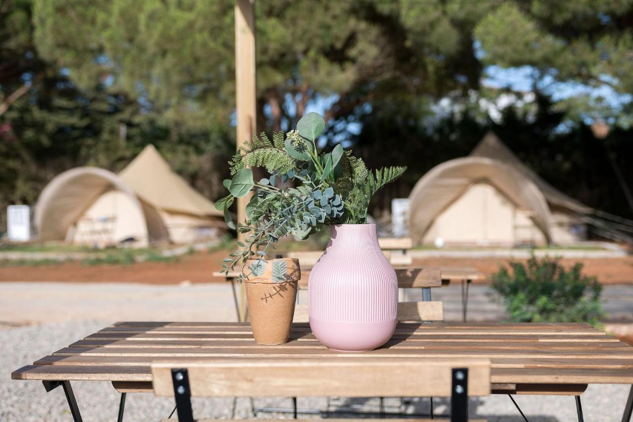Glamping La Mimosa Conil Hotel Conil De La Frontera Exterior foto